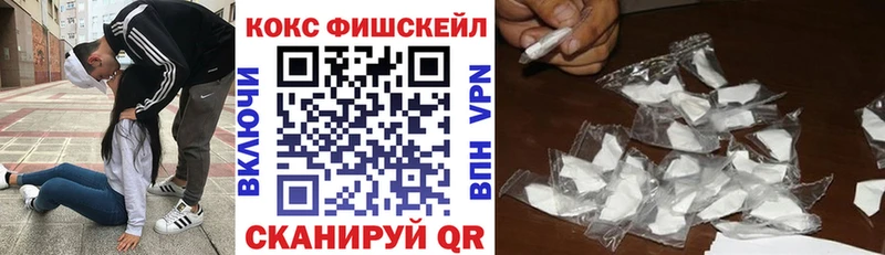 Cocaine FishScale  Купить закладки  Юрюзань 