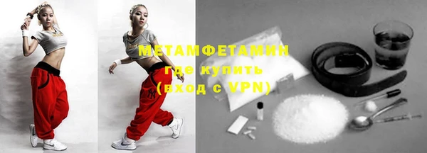 прущие грибы Сосновка