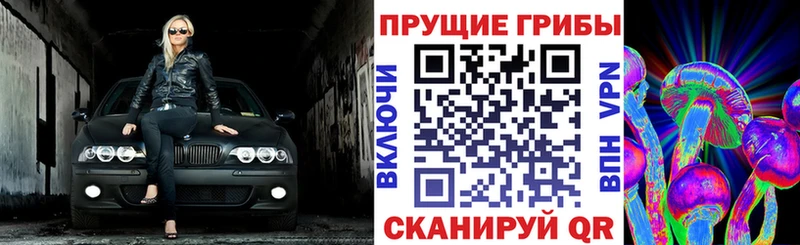 Галлюциногенные грибы прущие грибы  Купить  Юрюзань 